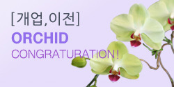 뵵 īװ #3