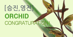 뵵 īװ #4