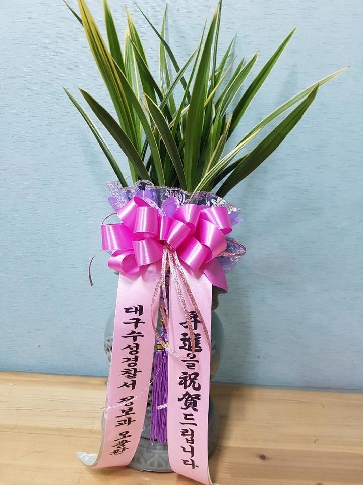 뱸