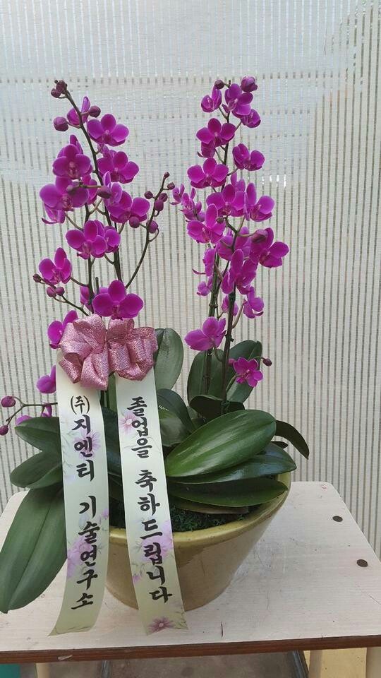 ϸ鰨..