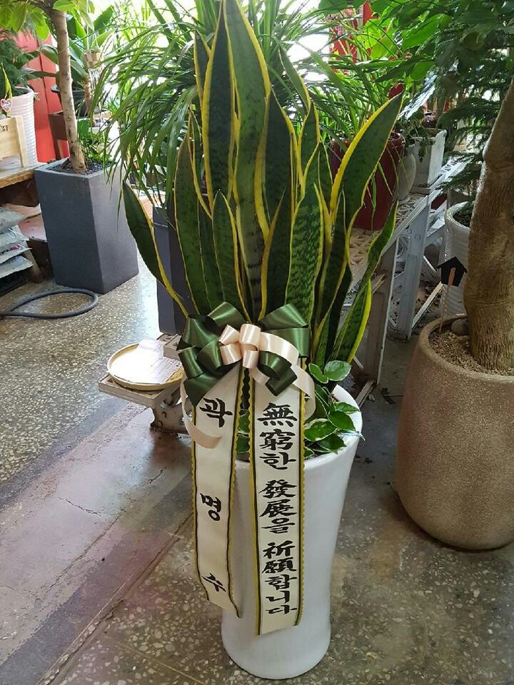  ϱ Ÿ5000