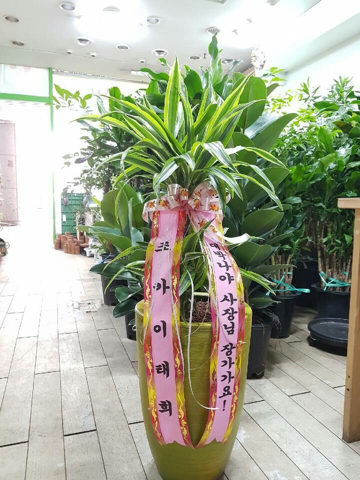 곲 ո..