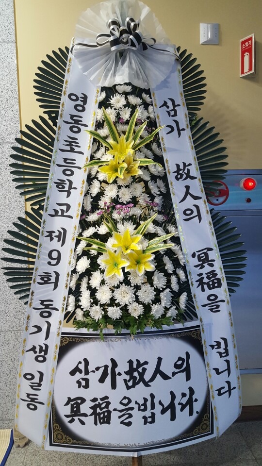뺴ʽ
