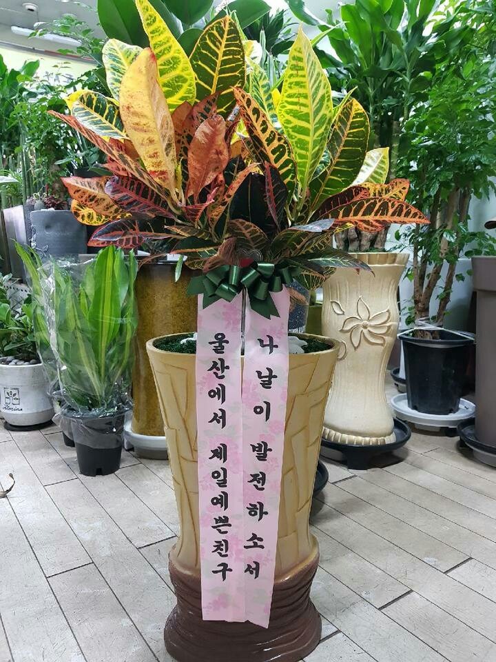 꺴...