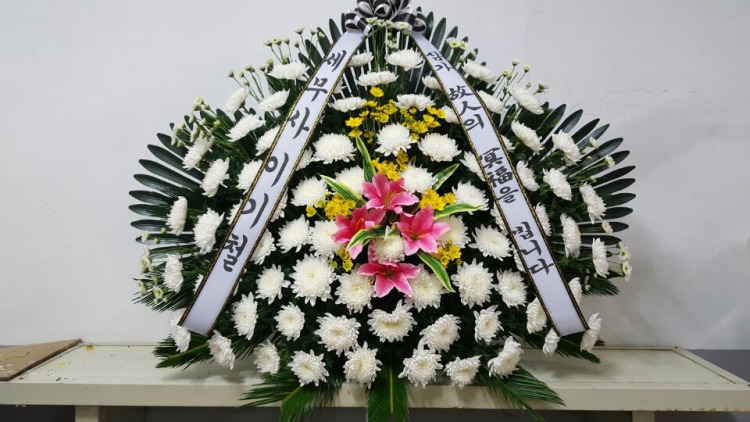 뺴 ʽ...