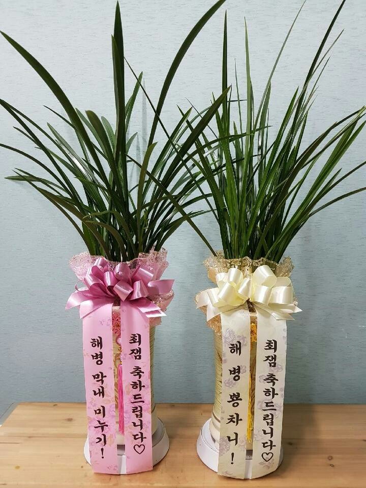 뵿׸ھ..۽Ʈ̳..