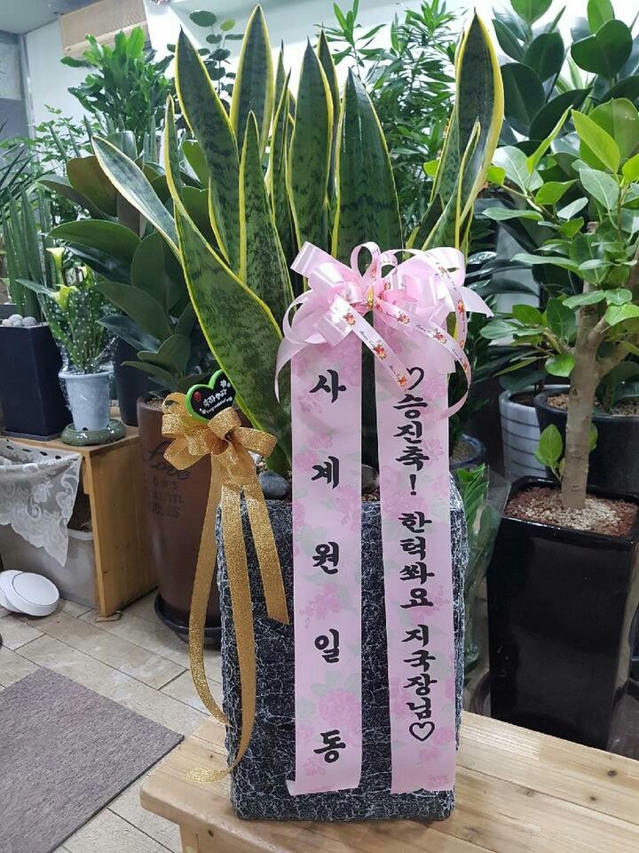 ^^
