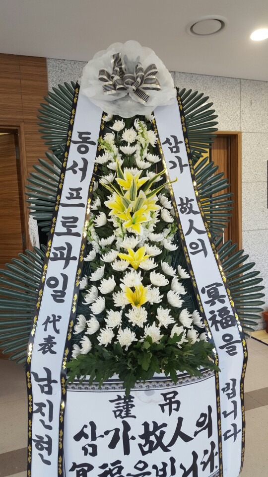 뺴..