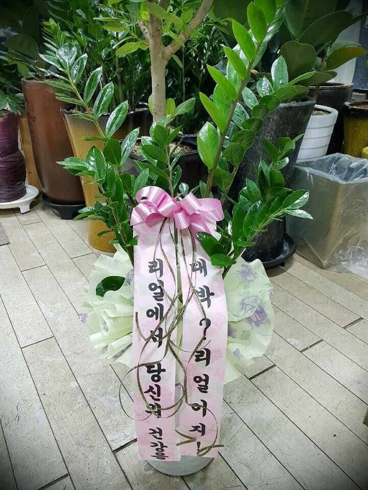 Ǫعٵ...