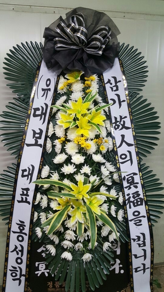 뱸ƺʽ...