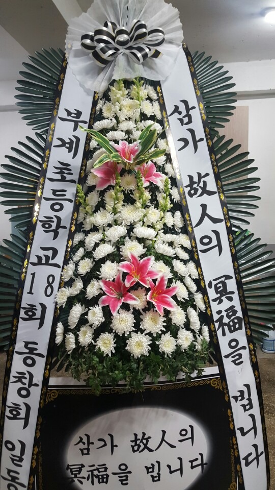 뺴ʽ...