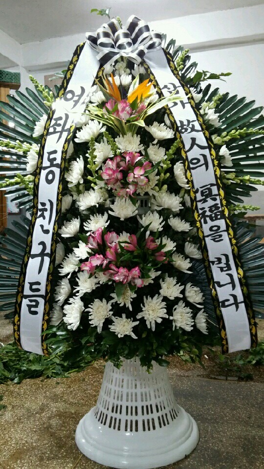 뺴ʽ...