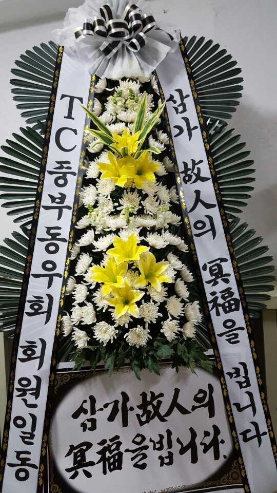 뺴ʽ...