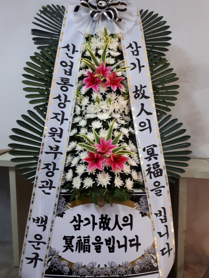 뺴ʽ...