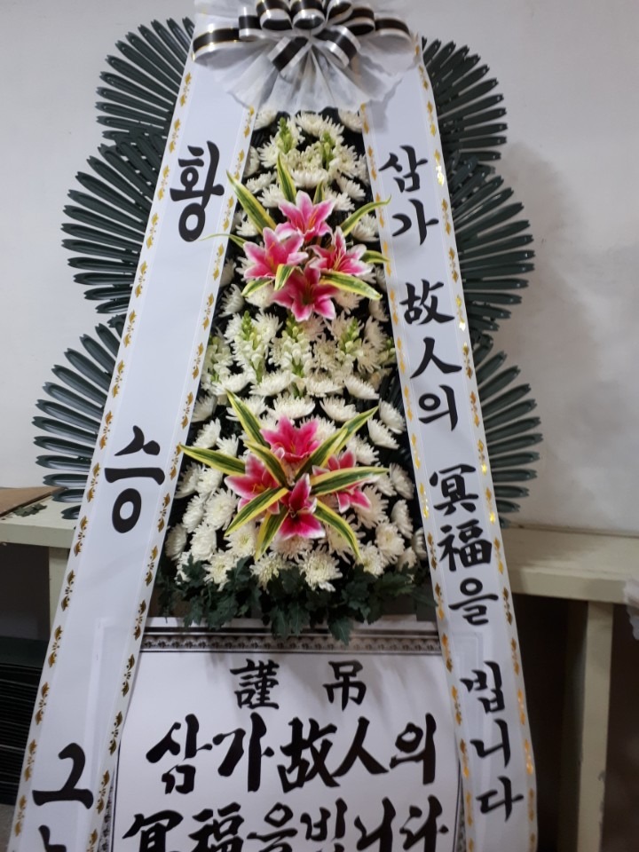 뺴ʽ....