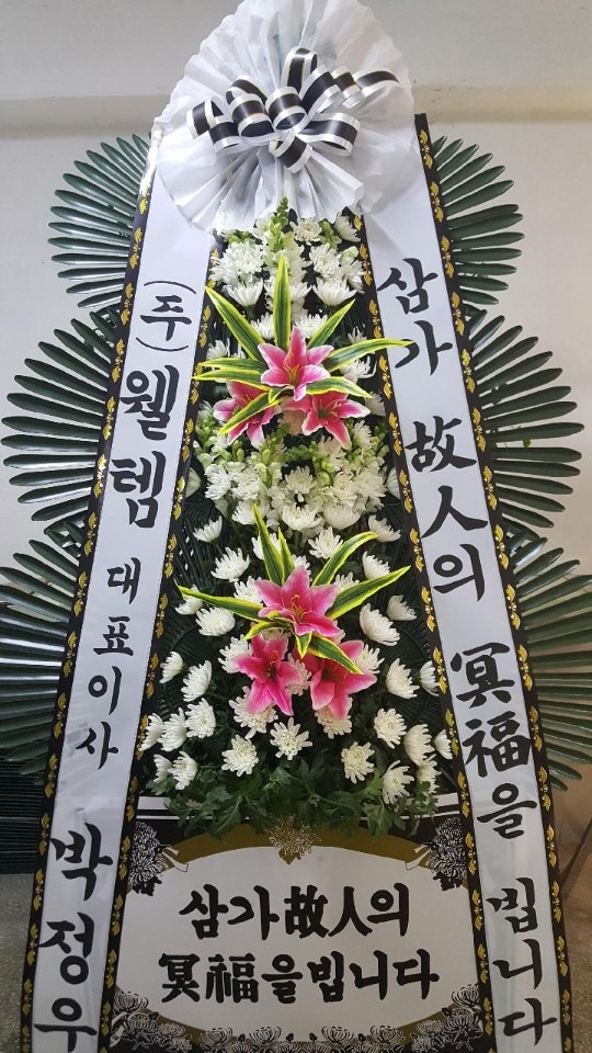 뺴ʽ....