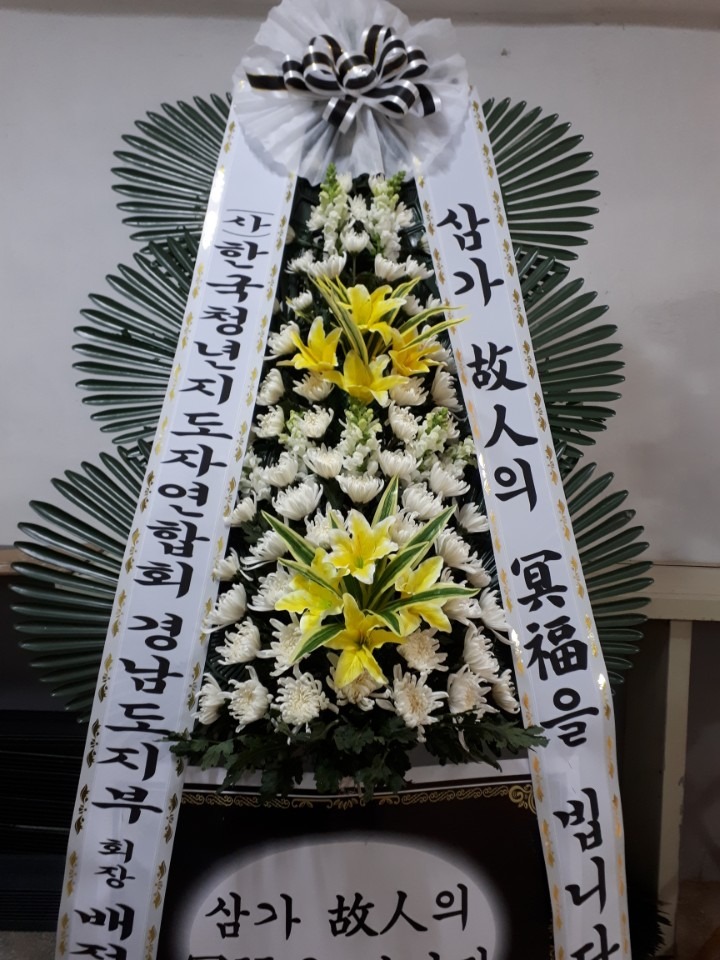 뺴ʽ....