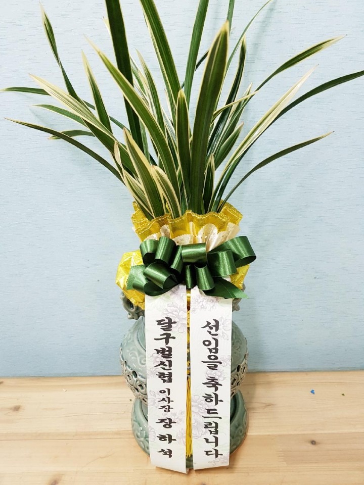 걸泲Ͻ....