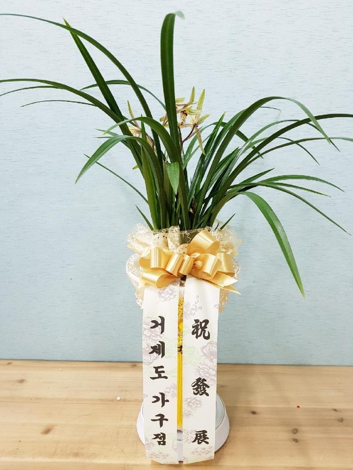 Ұ赿 Ҵ޷...