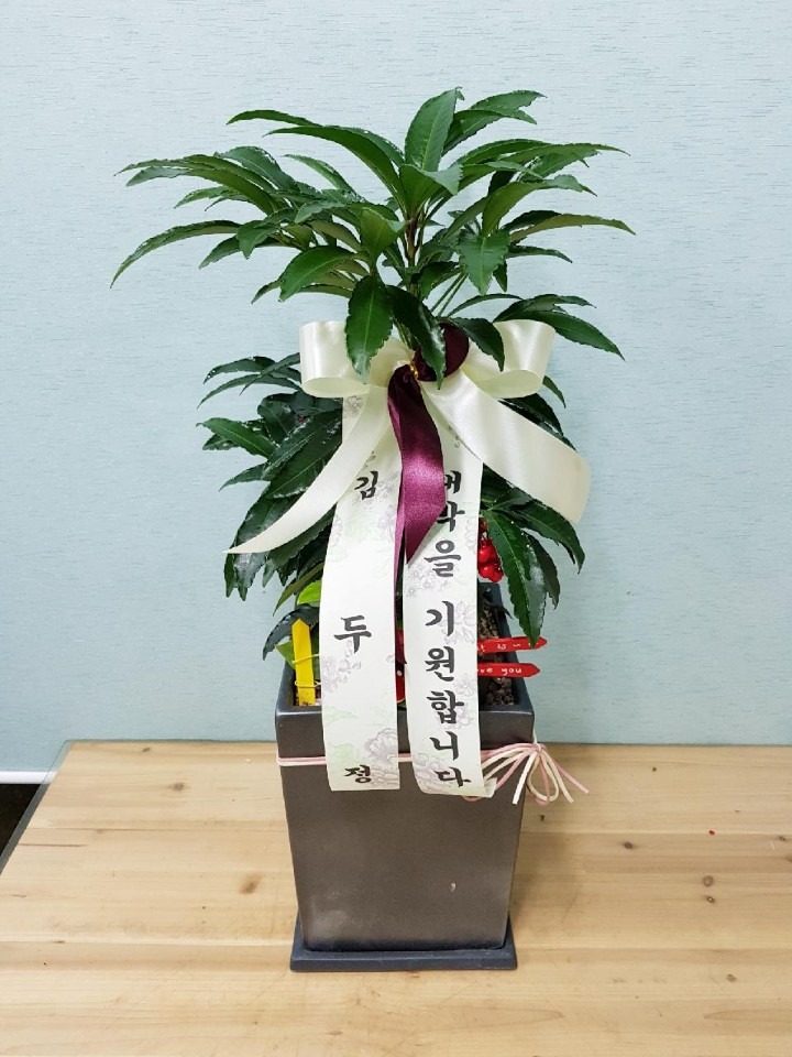 浿 ѹ̸ھƷ...