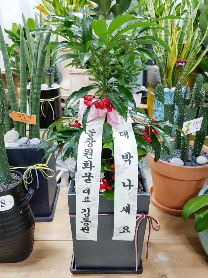  湮Ͻ,,,