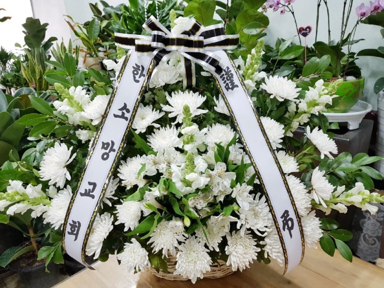뺴ʽ....