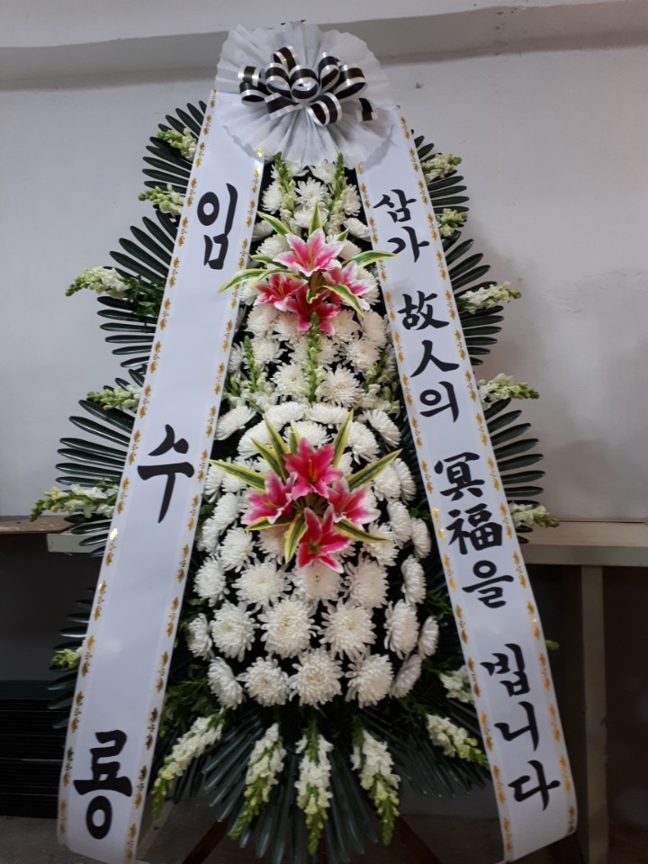 뺴ʽ....