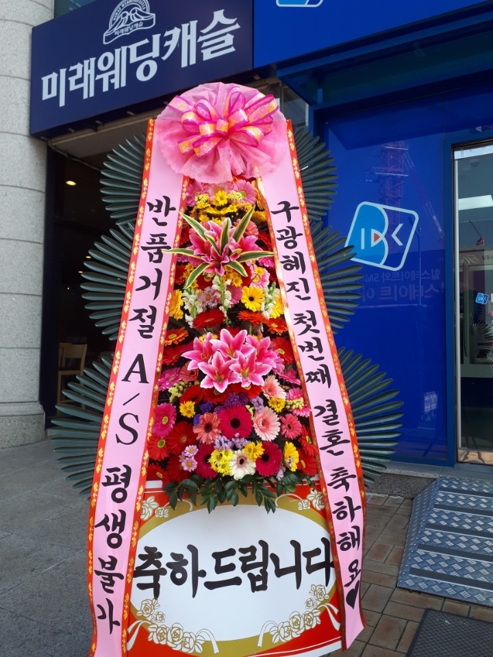 ȿ뵿̷ĳ...