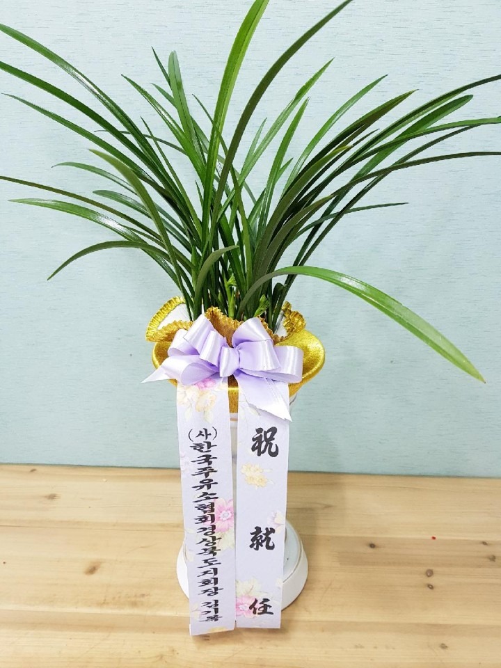 絿ȸ泲η....