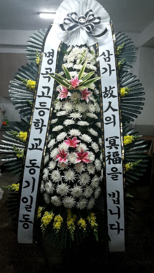 뺴ʽ...
