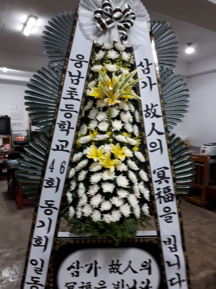 뺴ʽ...