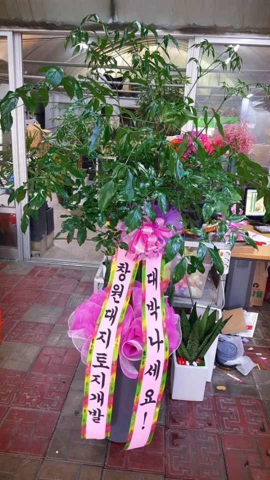 뱸  뱸ٿ...