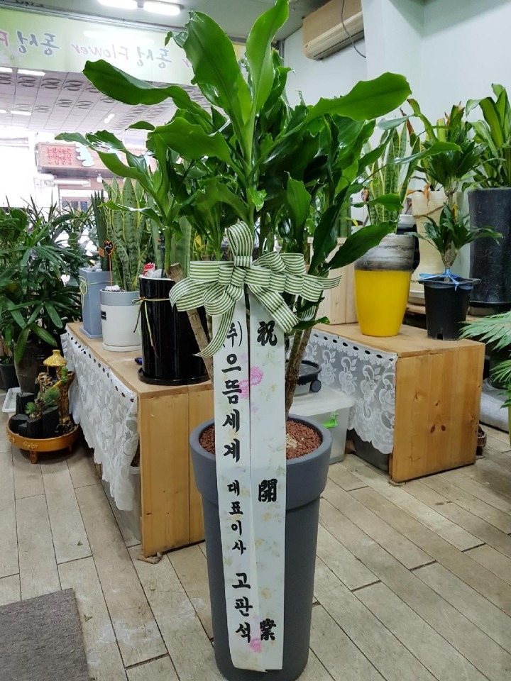 ϸ 鸮 ....