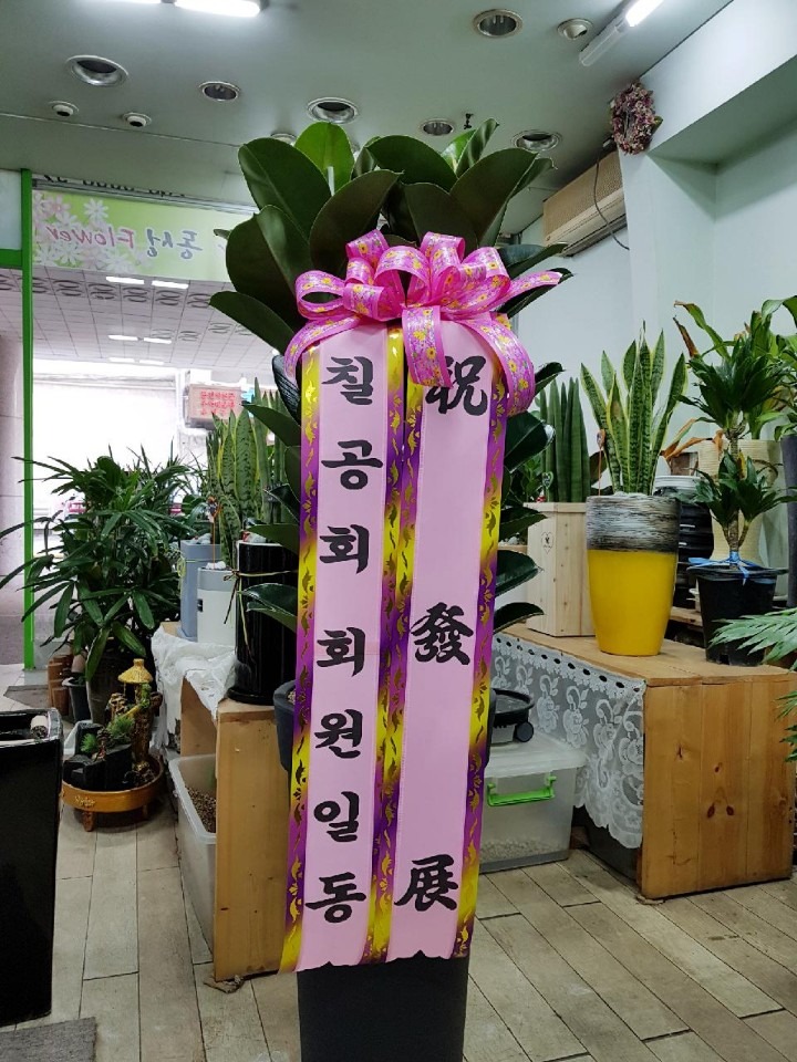 ϸ 鸮 ....