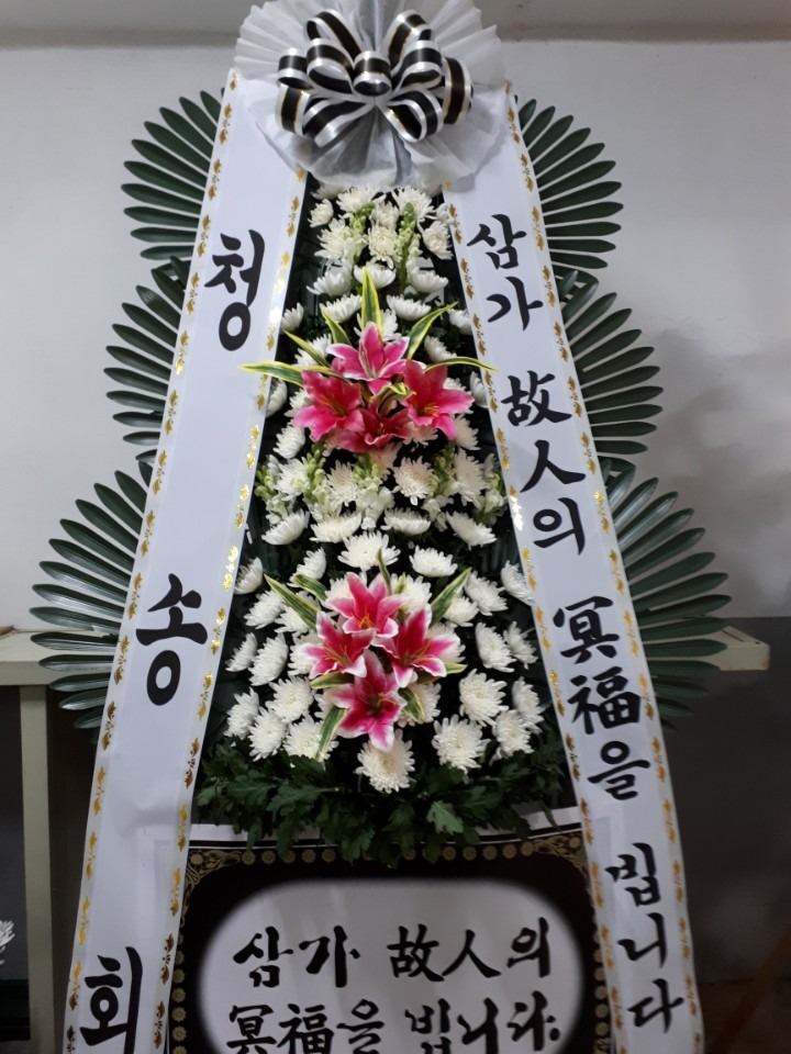 뺴ʽ....