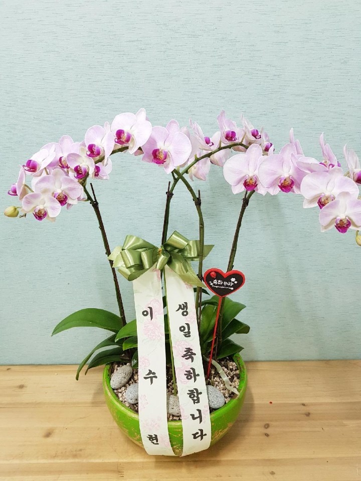 ȿ뵿...
