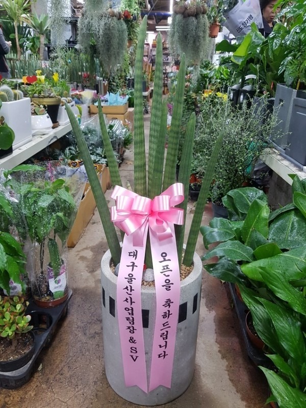 뱸ĸٰԶ ...