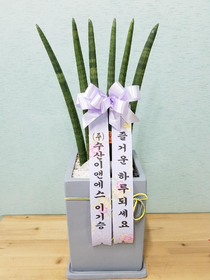걸 뵿Ʈ...