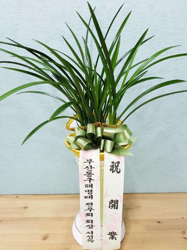 赿 ѹε....