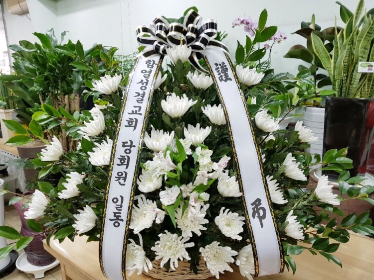 뺴ʽ....