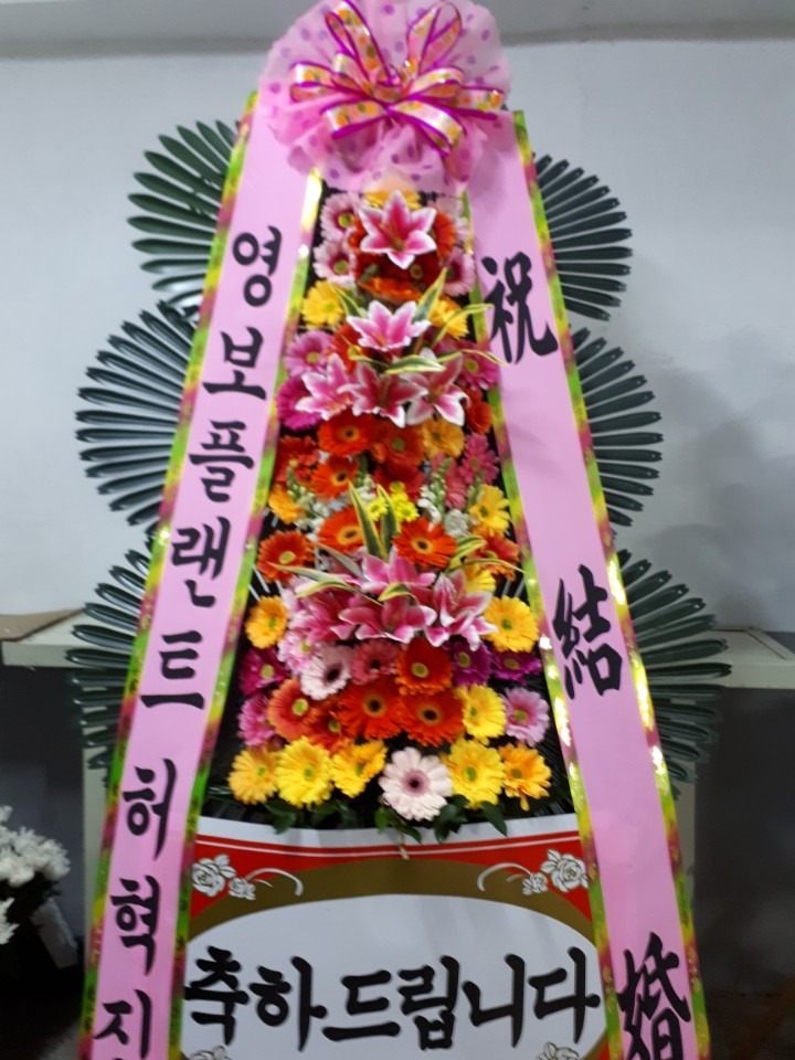 ȿ뵿 ̷ĳ...