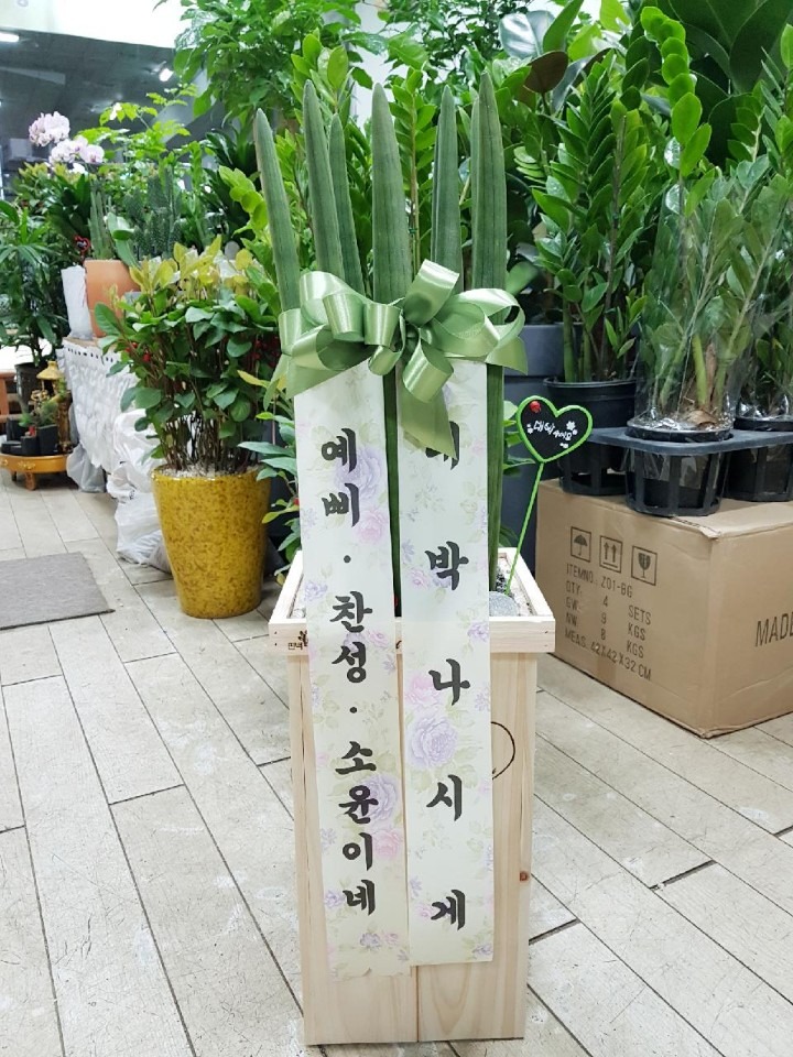赿 ιλ ٴٳ׵Ʈ...