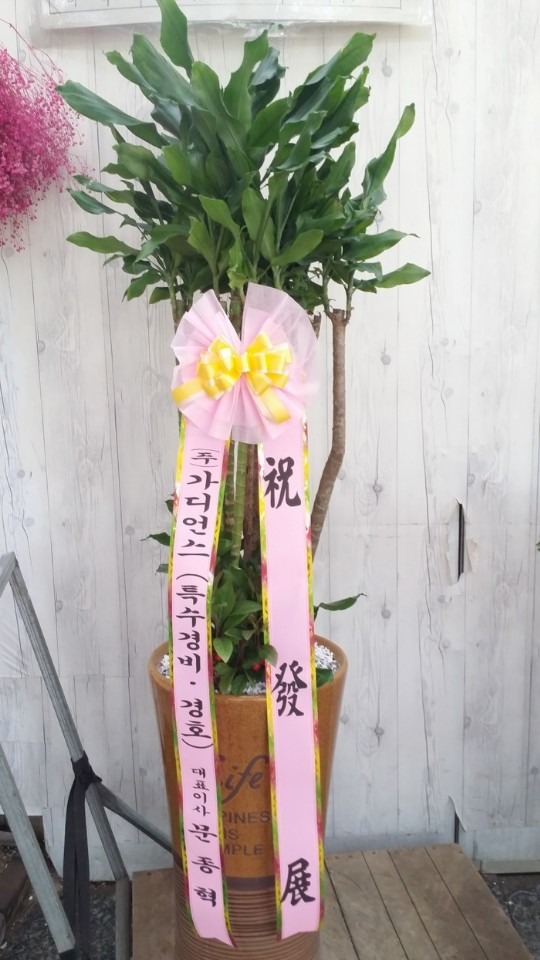  븲Ÿ̷....