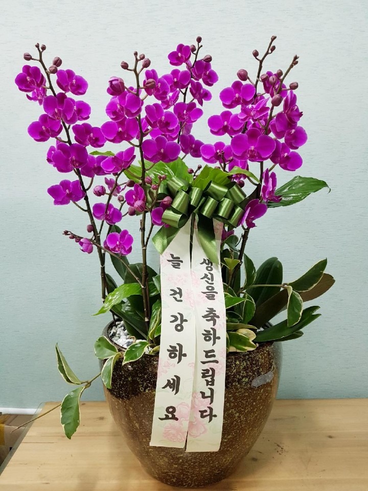 湮Ͻ...