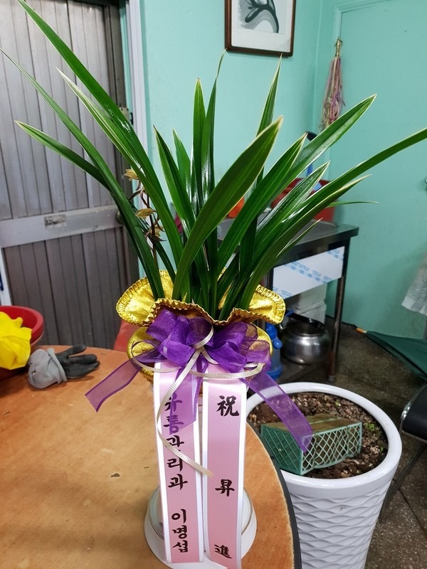 뿵ñ깰ǰ..