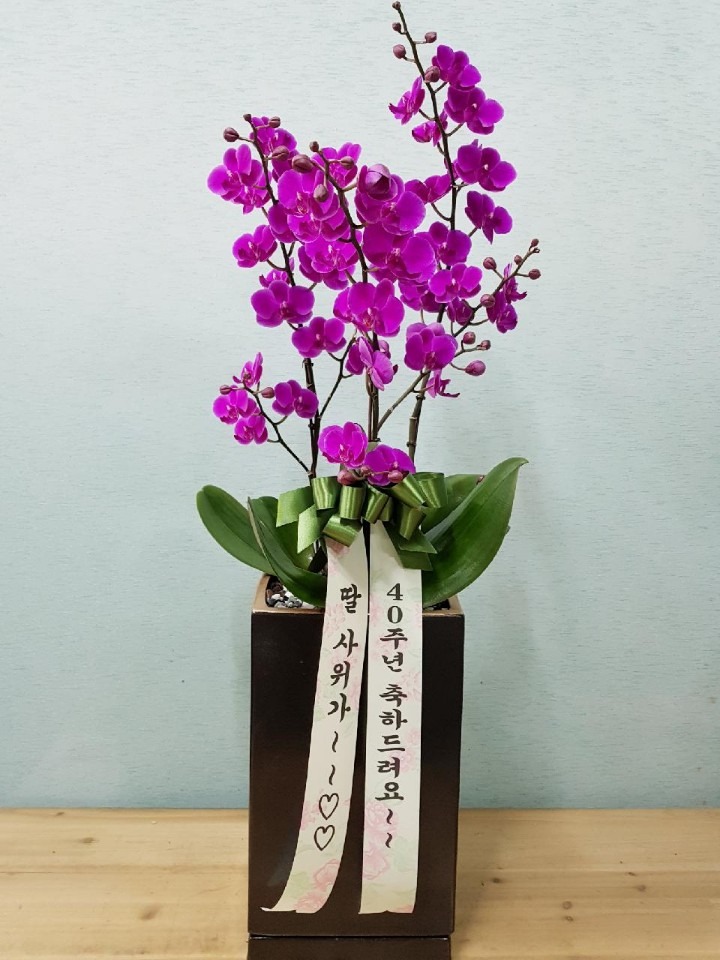 꼮....