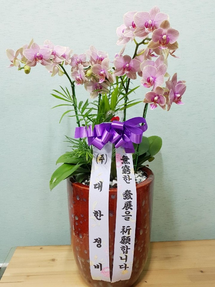 ȿ뵿 켺ī...