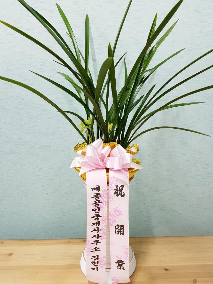 ι湮Ͻ....