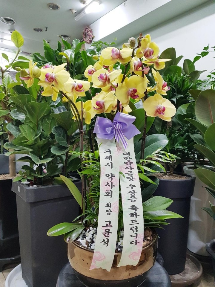赿 ڷįū౹....