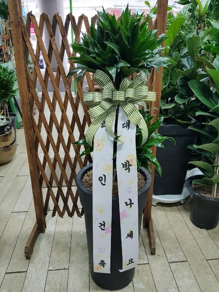 ϸ鰨踮 ƮŬ...